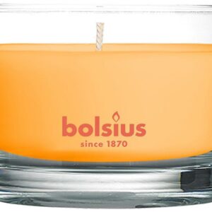Sviečka Bolsius Jar True Scents 50/80 mm