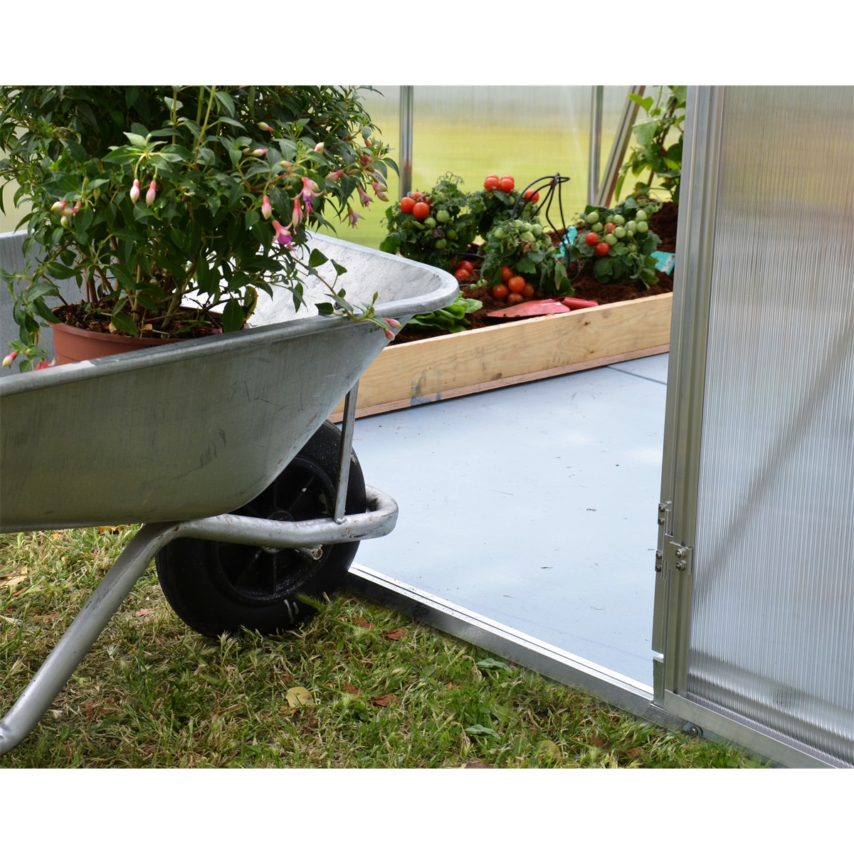 Palram-Canopia-Multiline-6x6-2 Palram Canopia Multiline 6x6 2