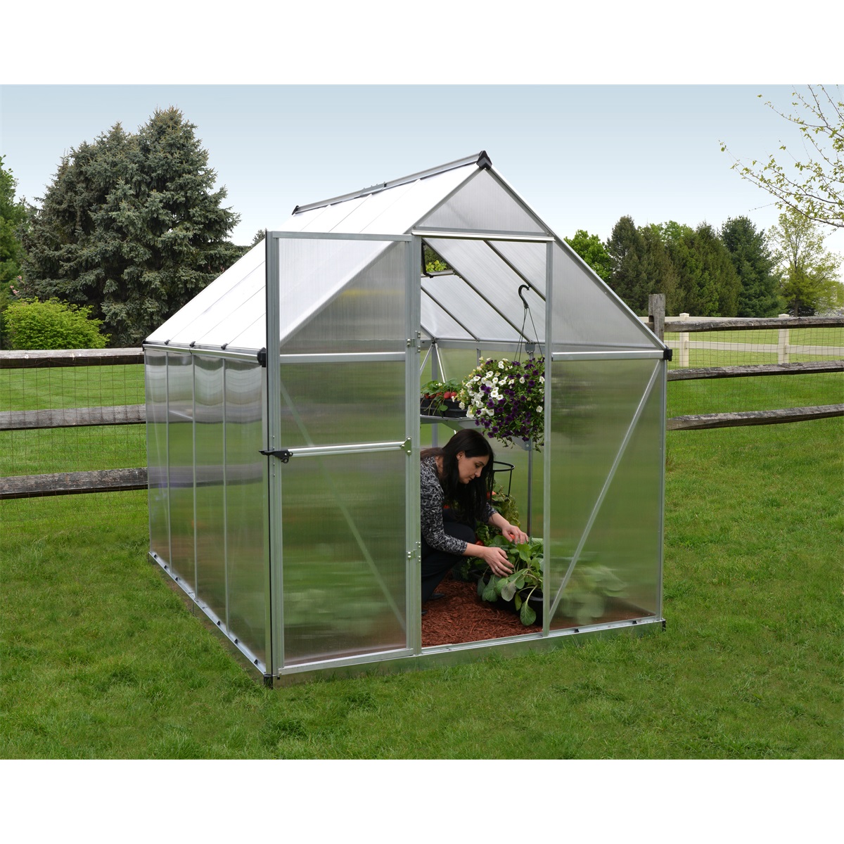 Palram-Canopia-Multiline-6x8-5 Palram Canopia Multiline 6x8 5