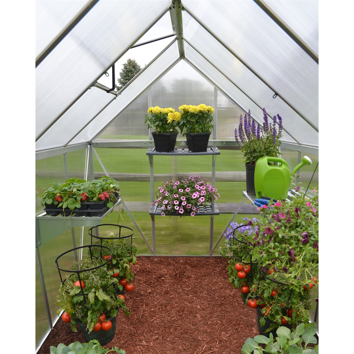 Palram-Canopia-Multiline-6x8-7 Palram Canopia Multiline 6x8 7
