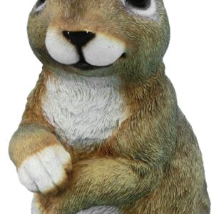 Dekorácia MagicHome Gecco