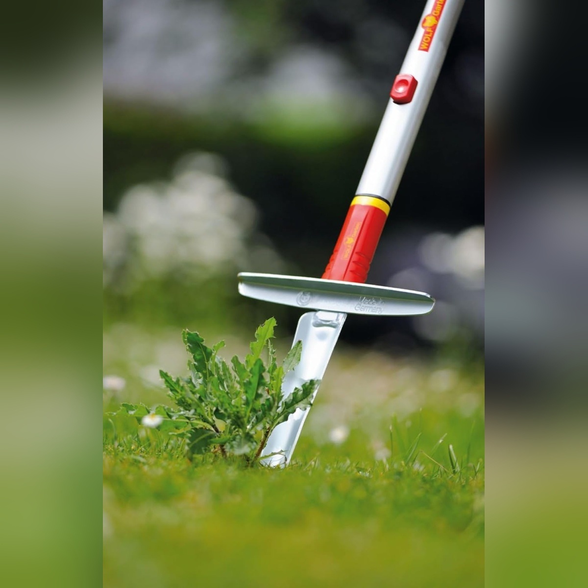 WOLF-Garten-KS-M-1 WOLF Garten KS M 1