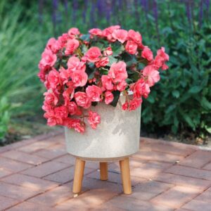 Kvetinac Strend Pro farba Bambusove vlakno 245x245x31 cm 3