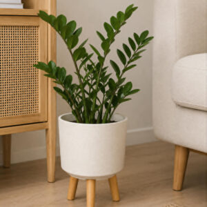 Kvetinac Strend Pro farba White Weath Finish 245x245x31 cm 3