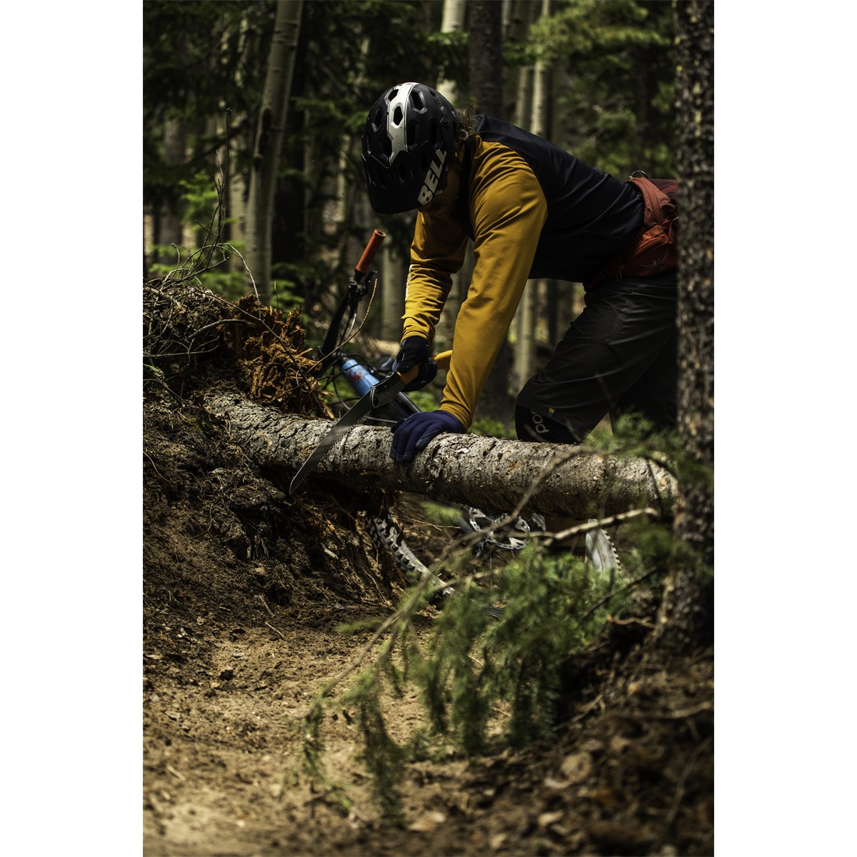 Silky-Bigboy-2000-Curve-360-6.5-2 Silky Bigboy 2000 Curve 360 6.5 2