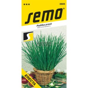 Domov 38 Pažitka - Erecta
