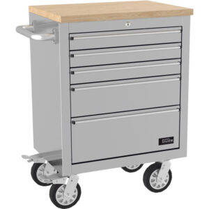 dielensky vozik gw 5 inox